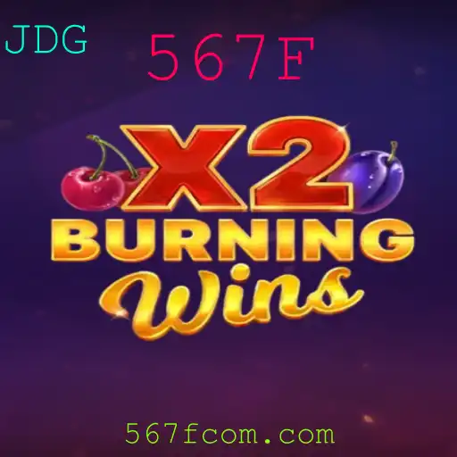 Explorando o Emoionante Mundo de BurningWinsX2